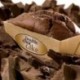 Double Choc Cake (Base 60)